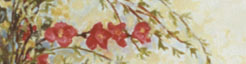 bouquet de printemps
