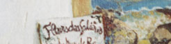 fleur des salières