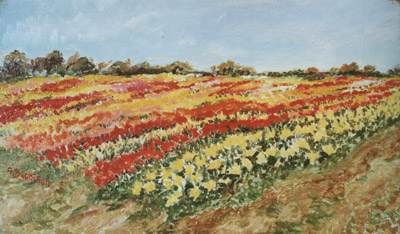 couleurs en fleurs #2