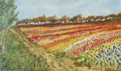 couleurs en fleurs #1